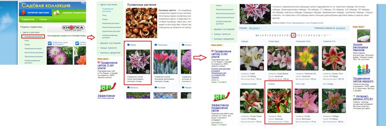 Ландыш Майский корневище