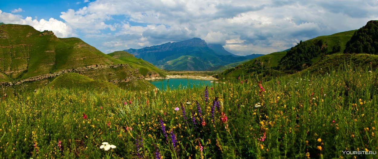 Заур Вороков Кабардино Балкария