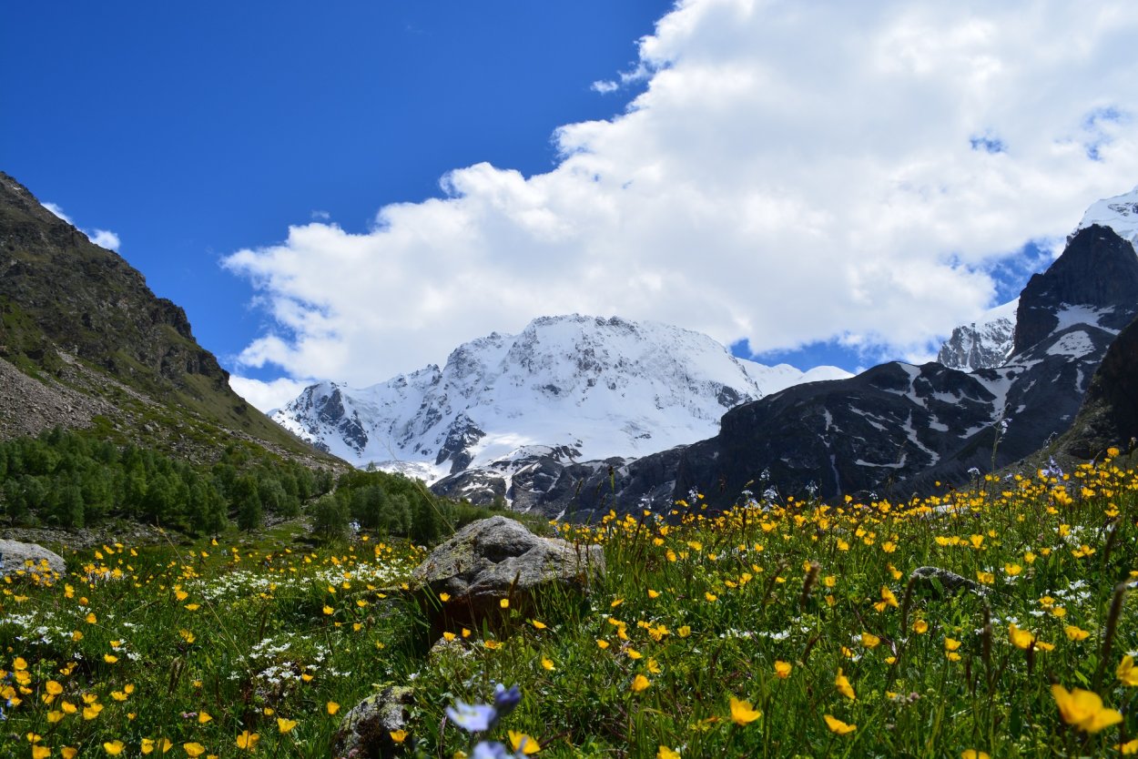 Мать гора Уллу Тау