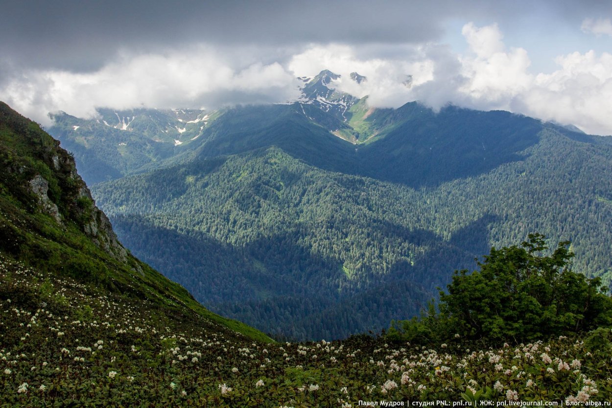 Гора Ачишхо Северный Кавказ