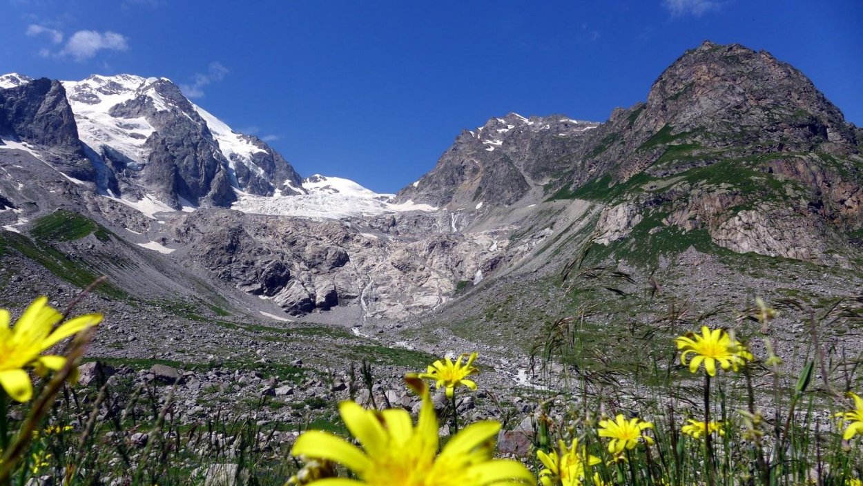 Горы Кабардино Балкарии Альпийские Луга