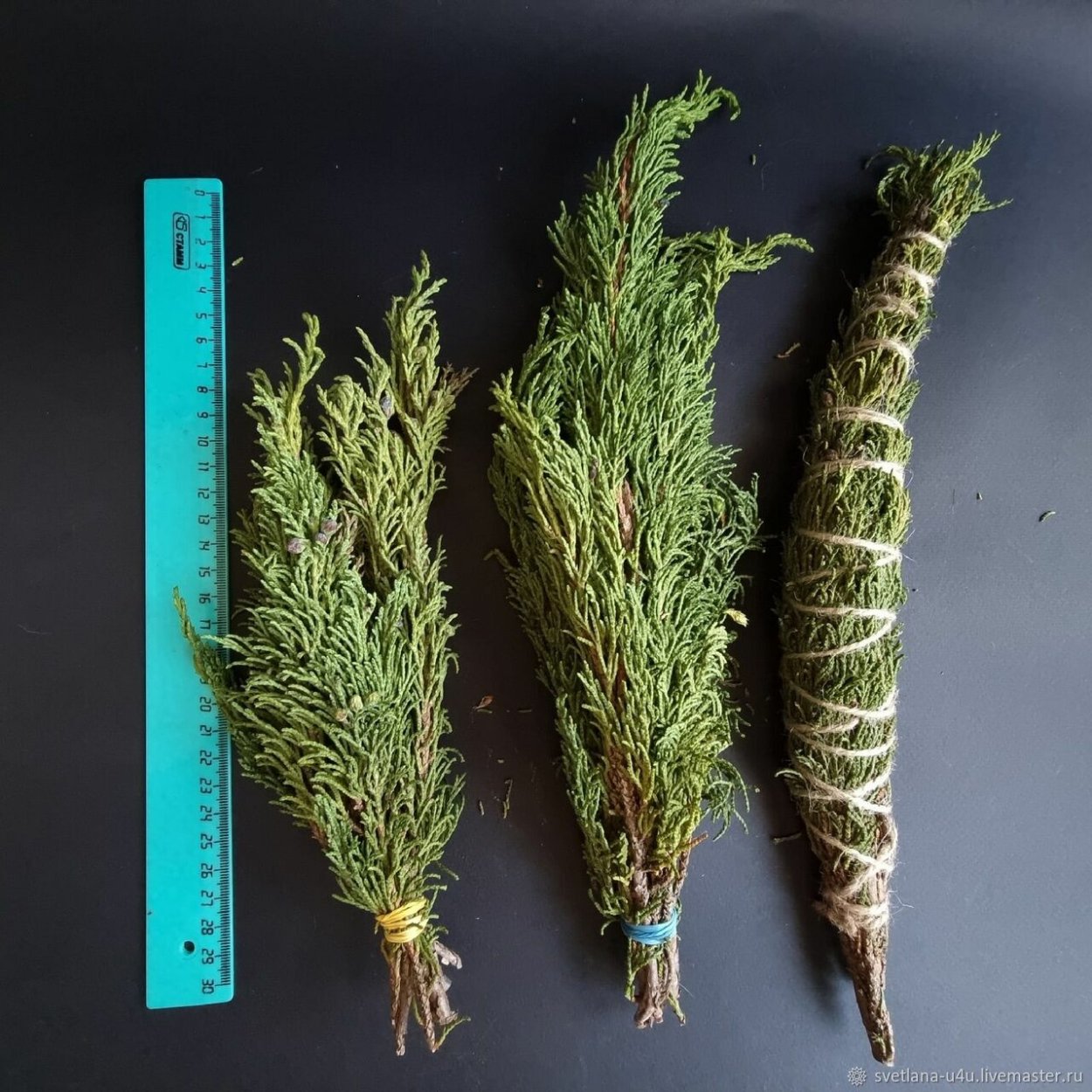 Артыш трава фото