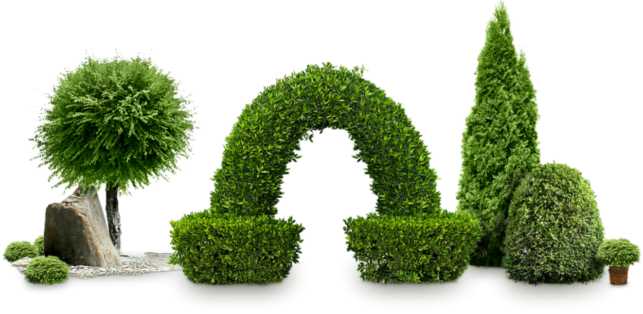 Багульник окуривание помещения