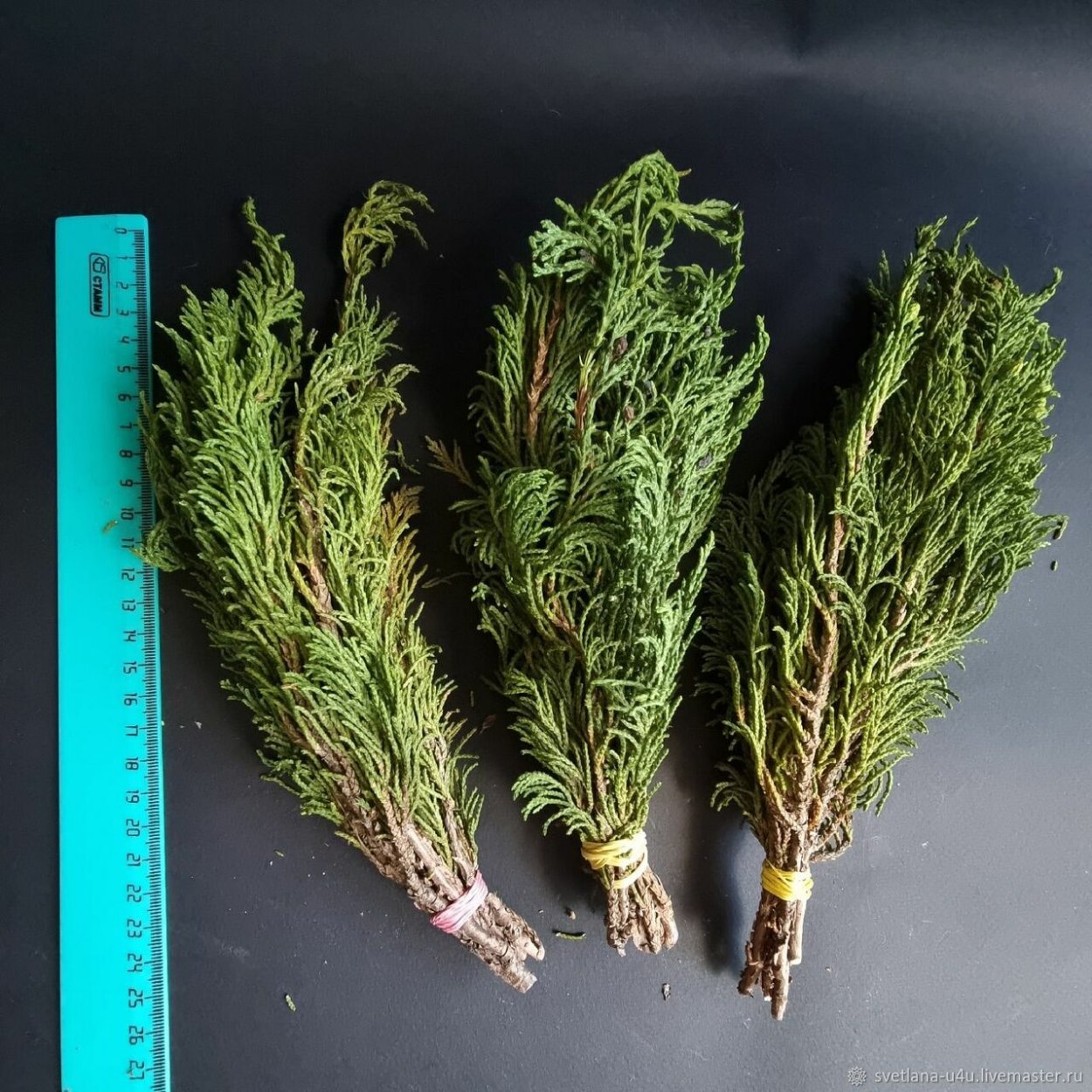 Можжевельник обыкновенный Верес