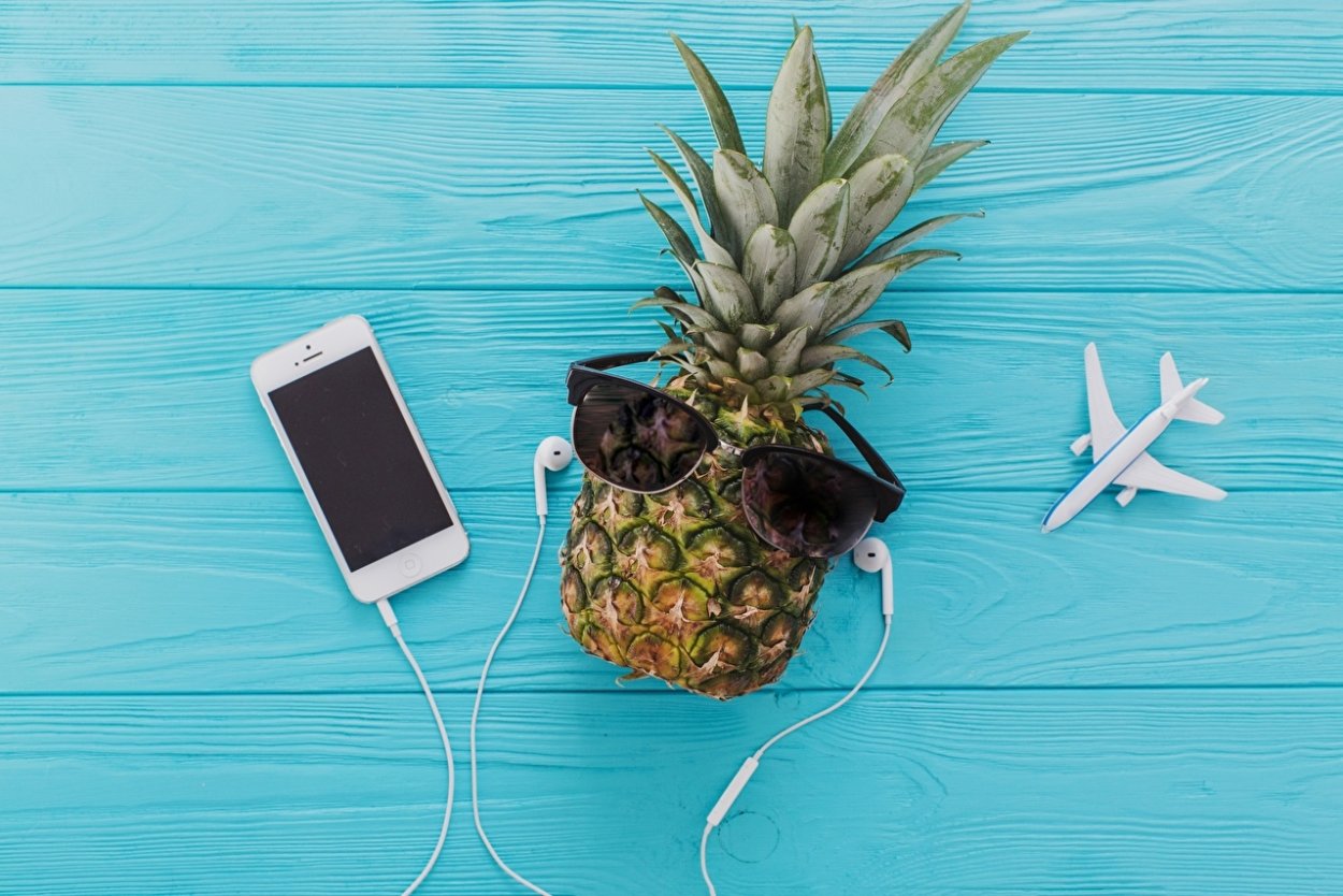 Ананас комнатное растение