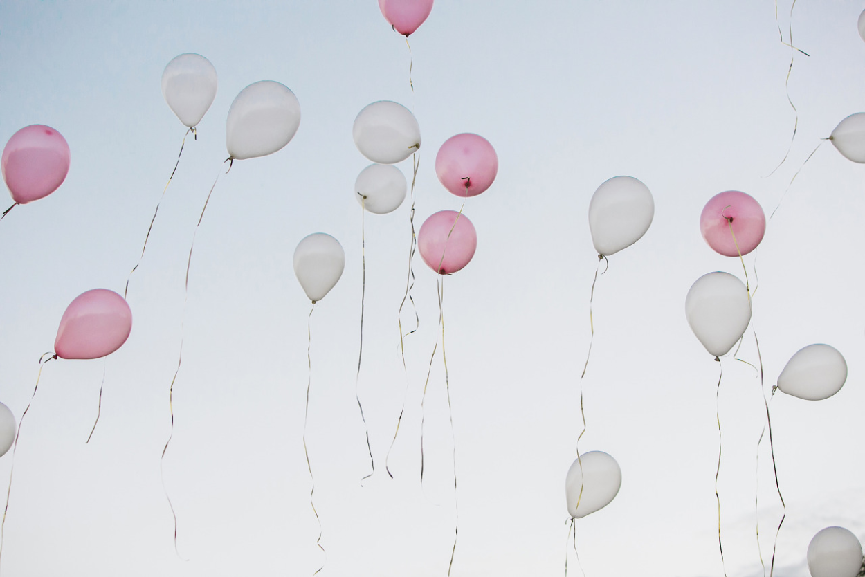 Суккулент крестовник Роули