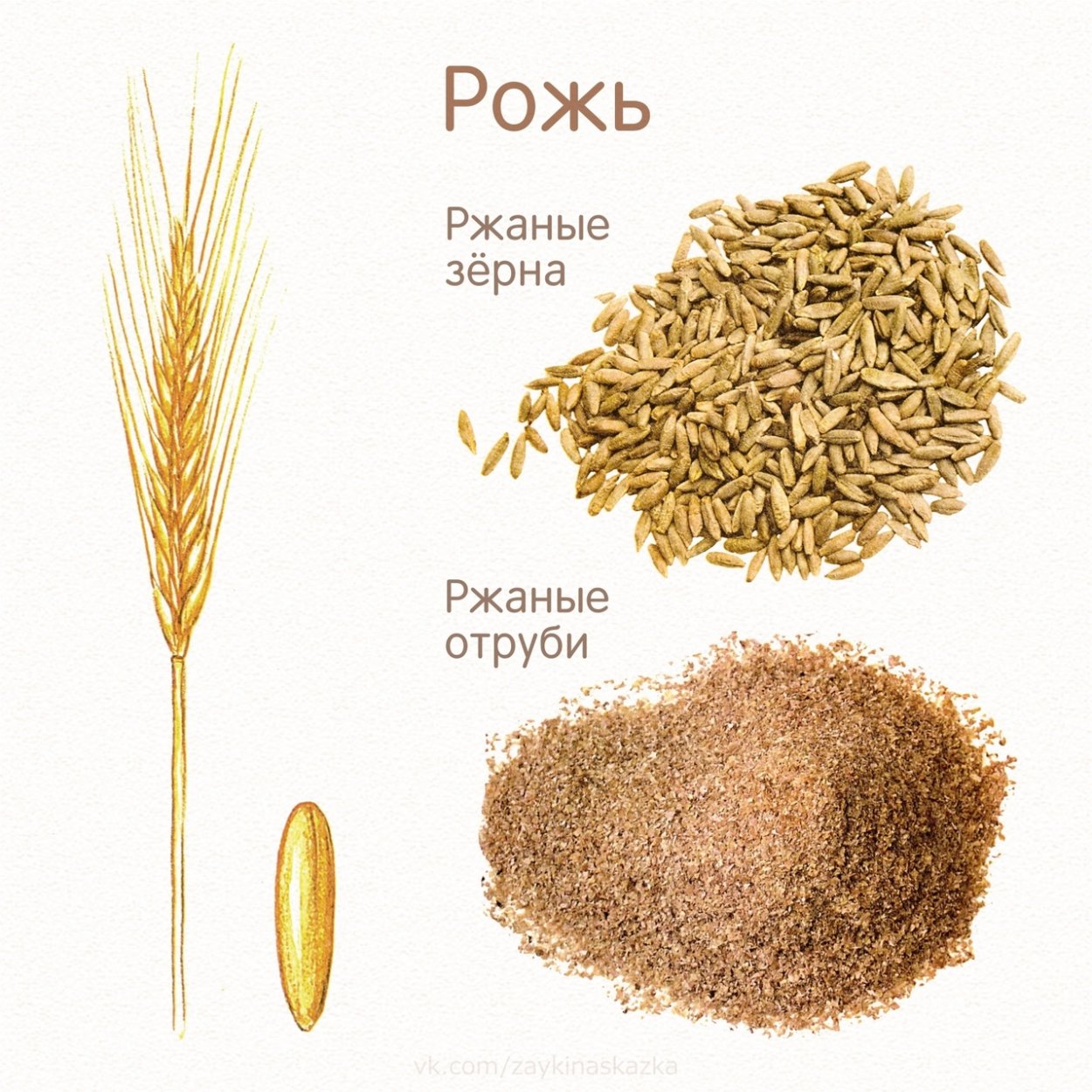 Злаки для детей