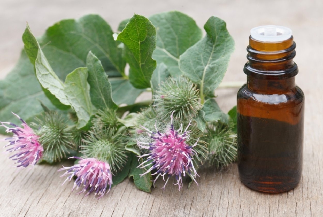 Книга зелёные страницы 2 класс