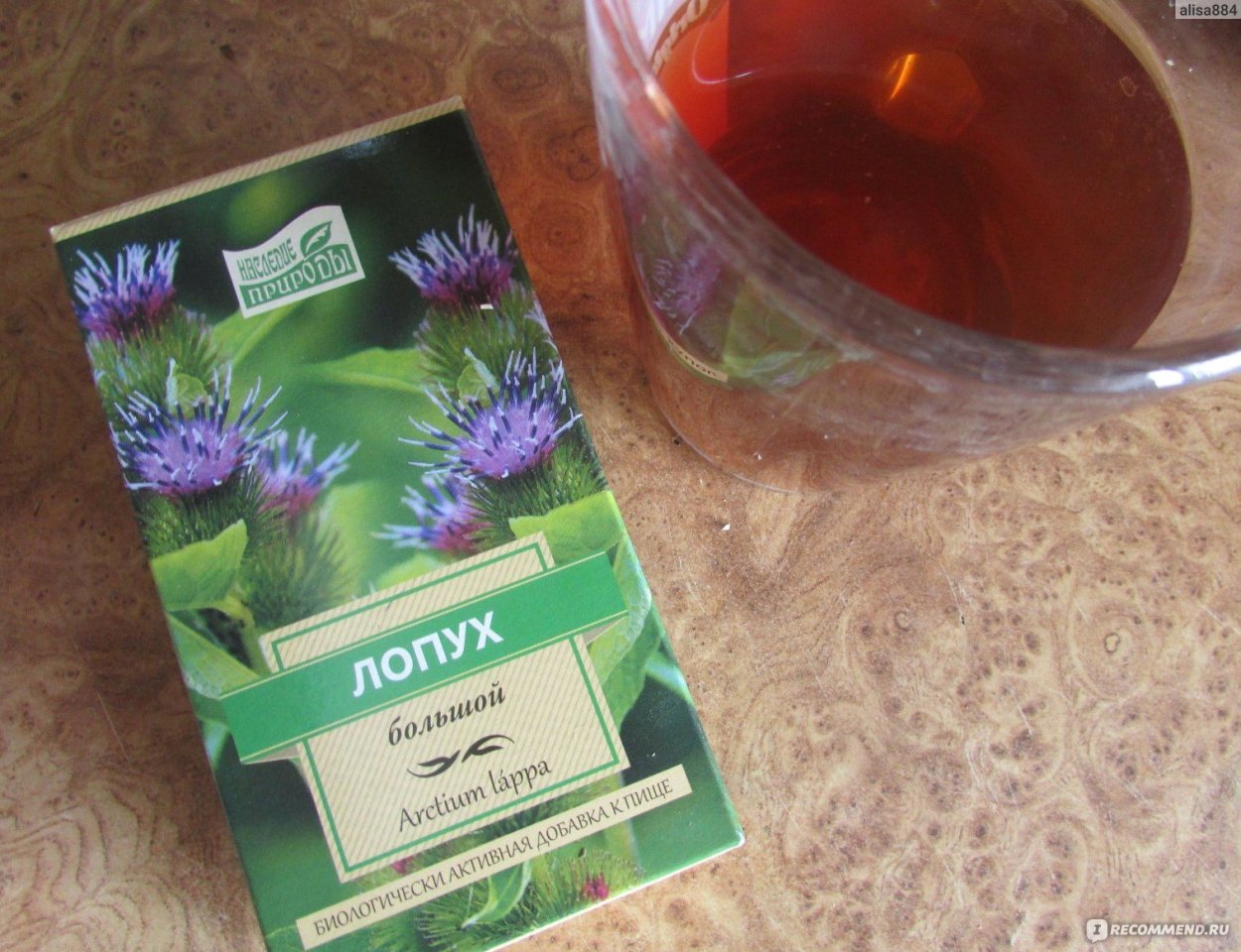 Лопух большой репейник