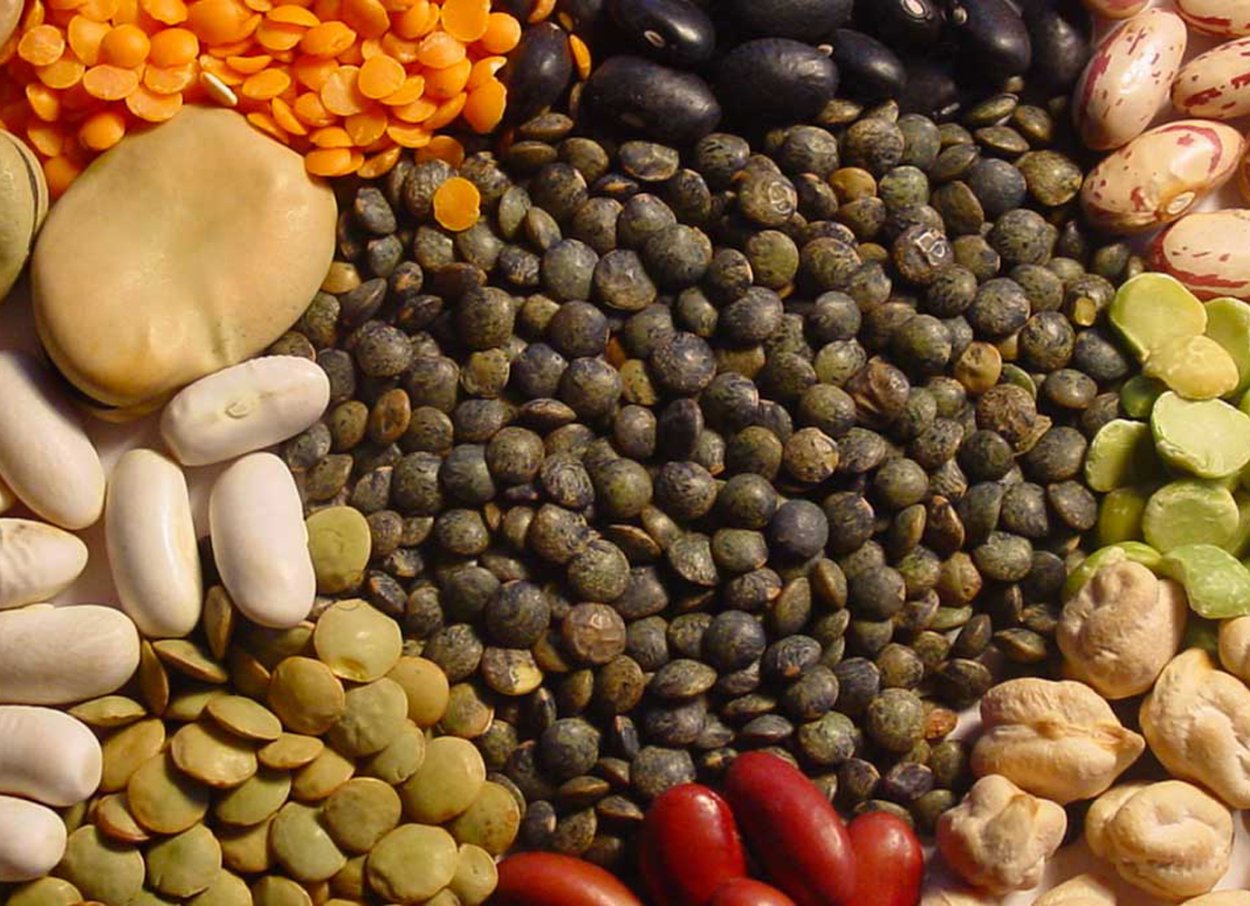 Бобовые - фасоль, чечевица, горох