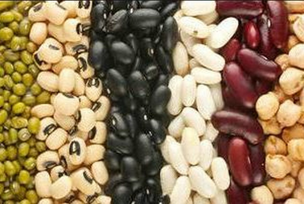 Культурные растения семейства мотыльковых