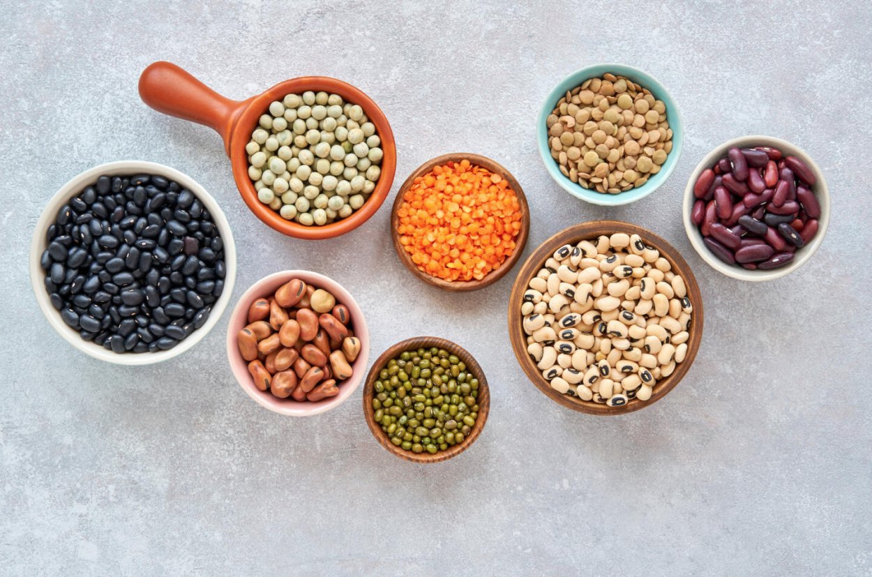 Бобовые культуры нут