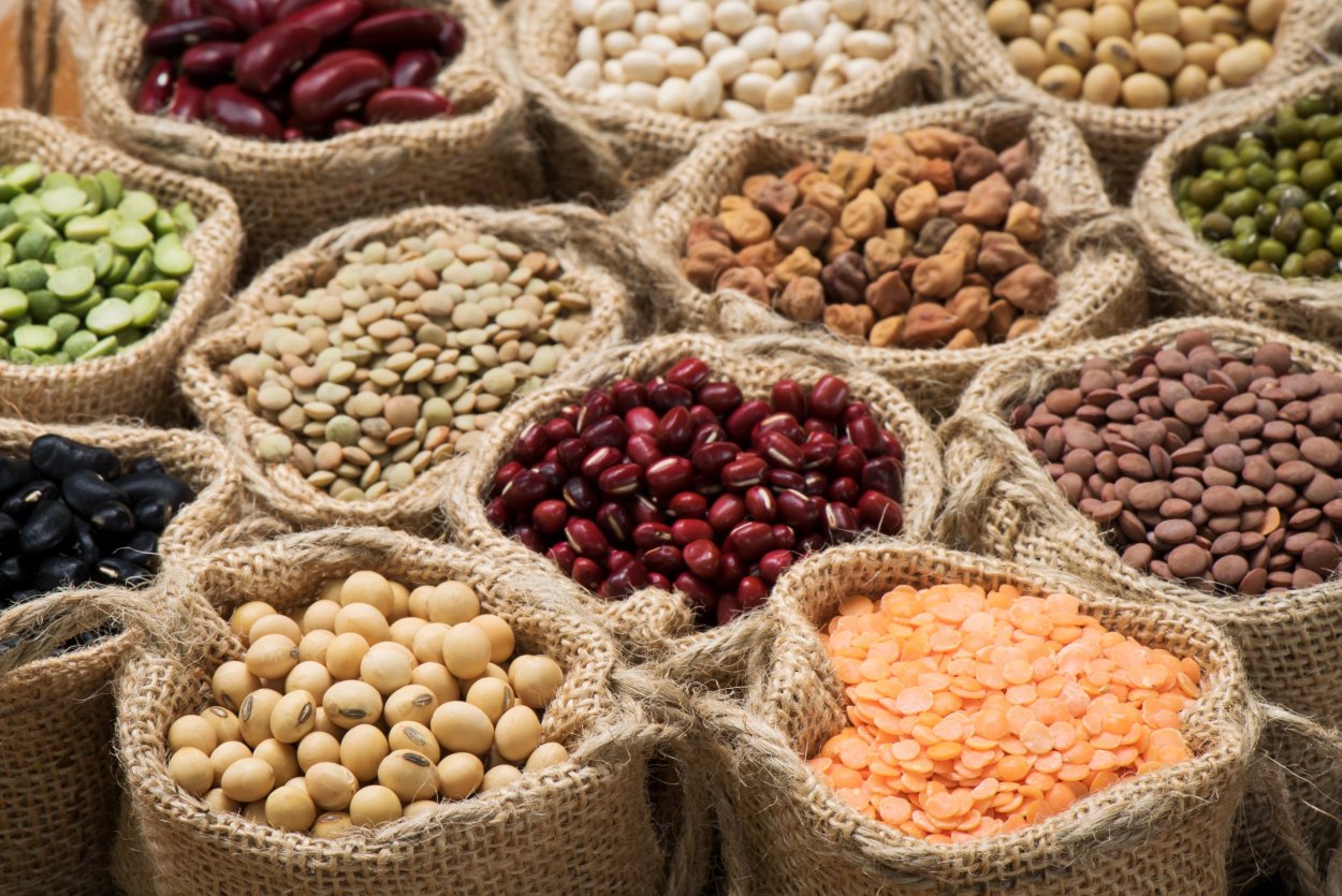 Семена бобовых растений