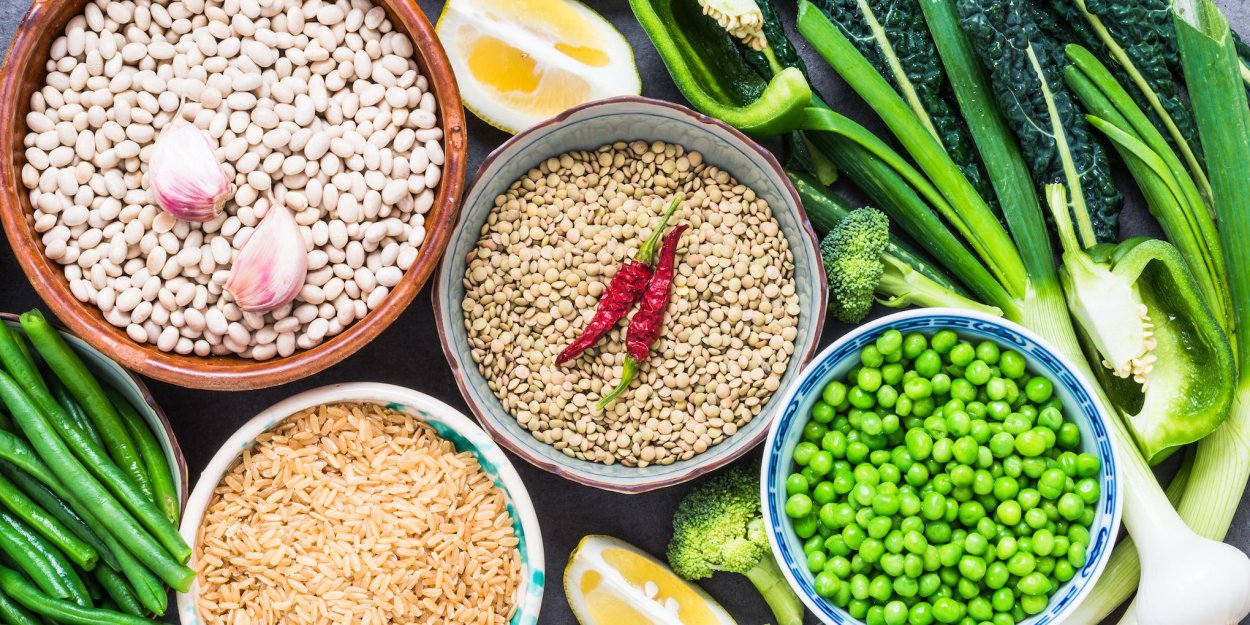 Фасоль обыкновенная рисунок