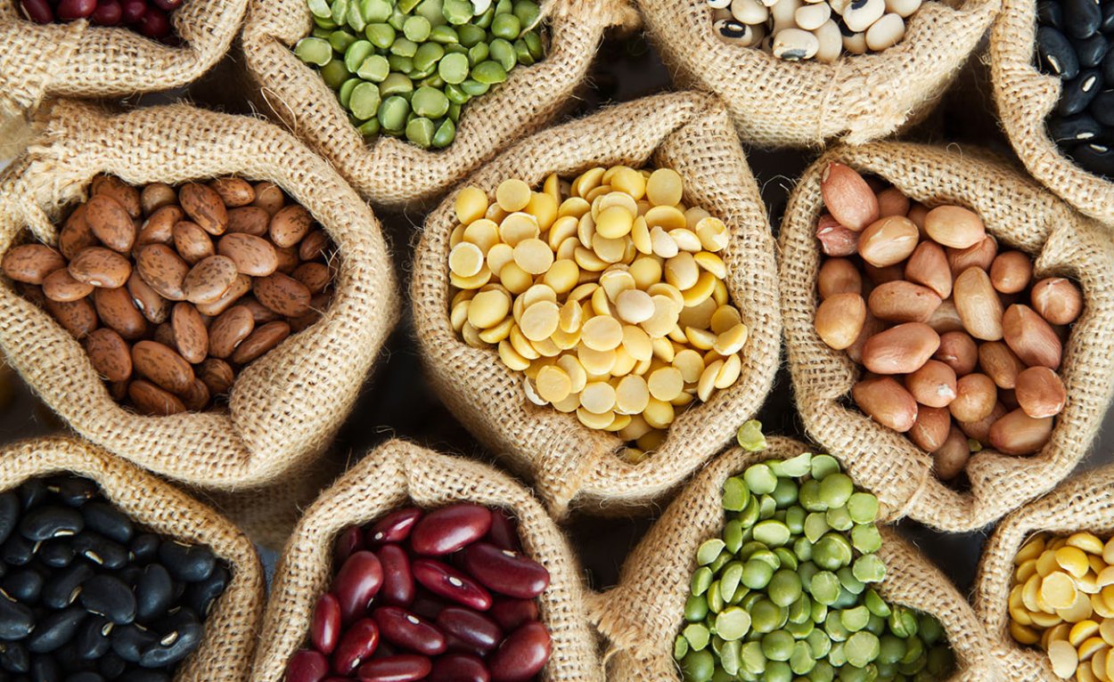 Бобовые соя, нут, чечевица, фасоль, горох