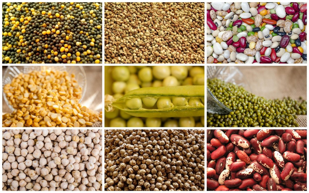 Бобовые в рационе
