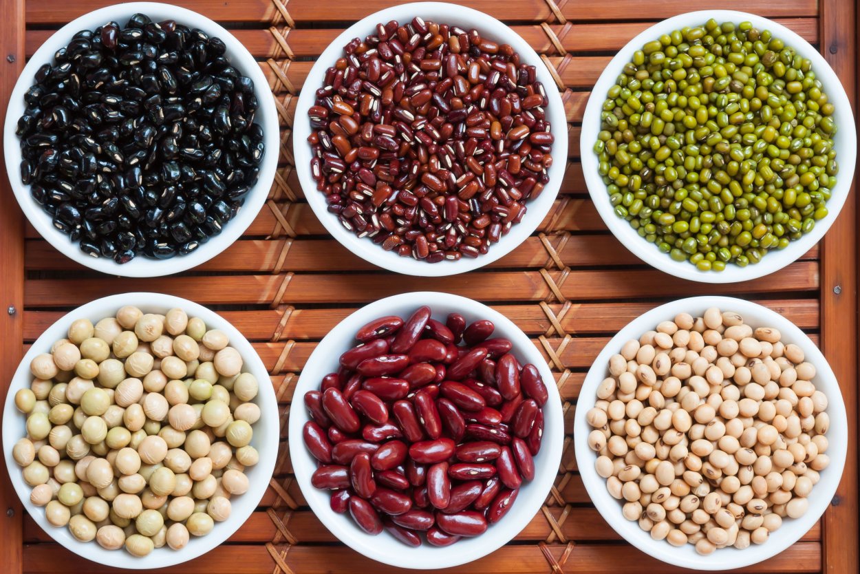 Виды бобовых