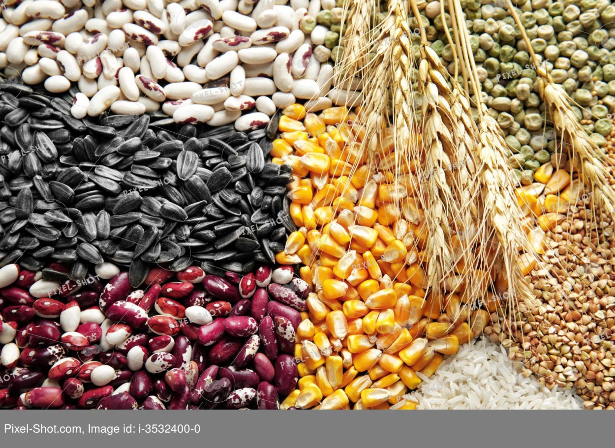 Фасоль и чечевица сверху