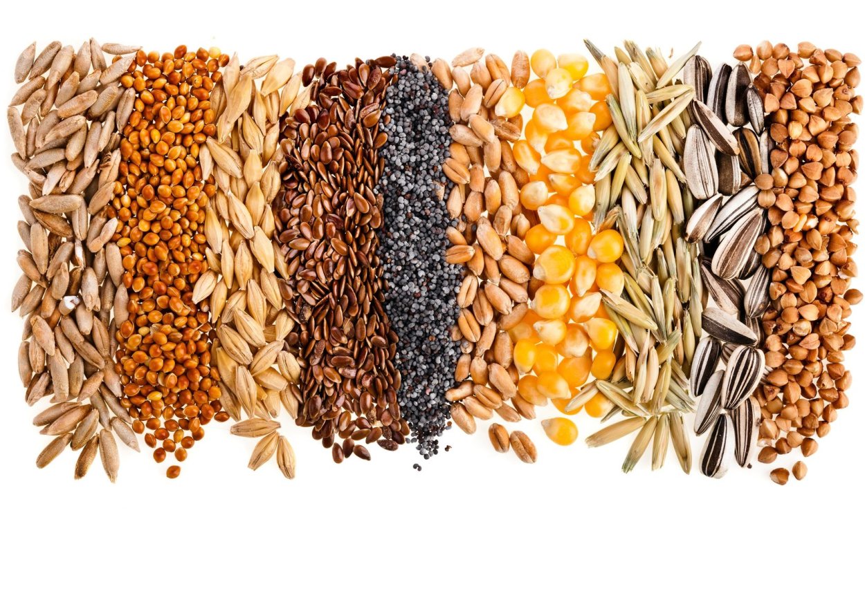 Всемирный день зернобобовых