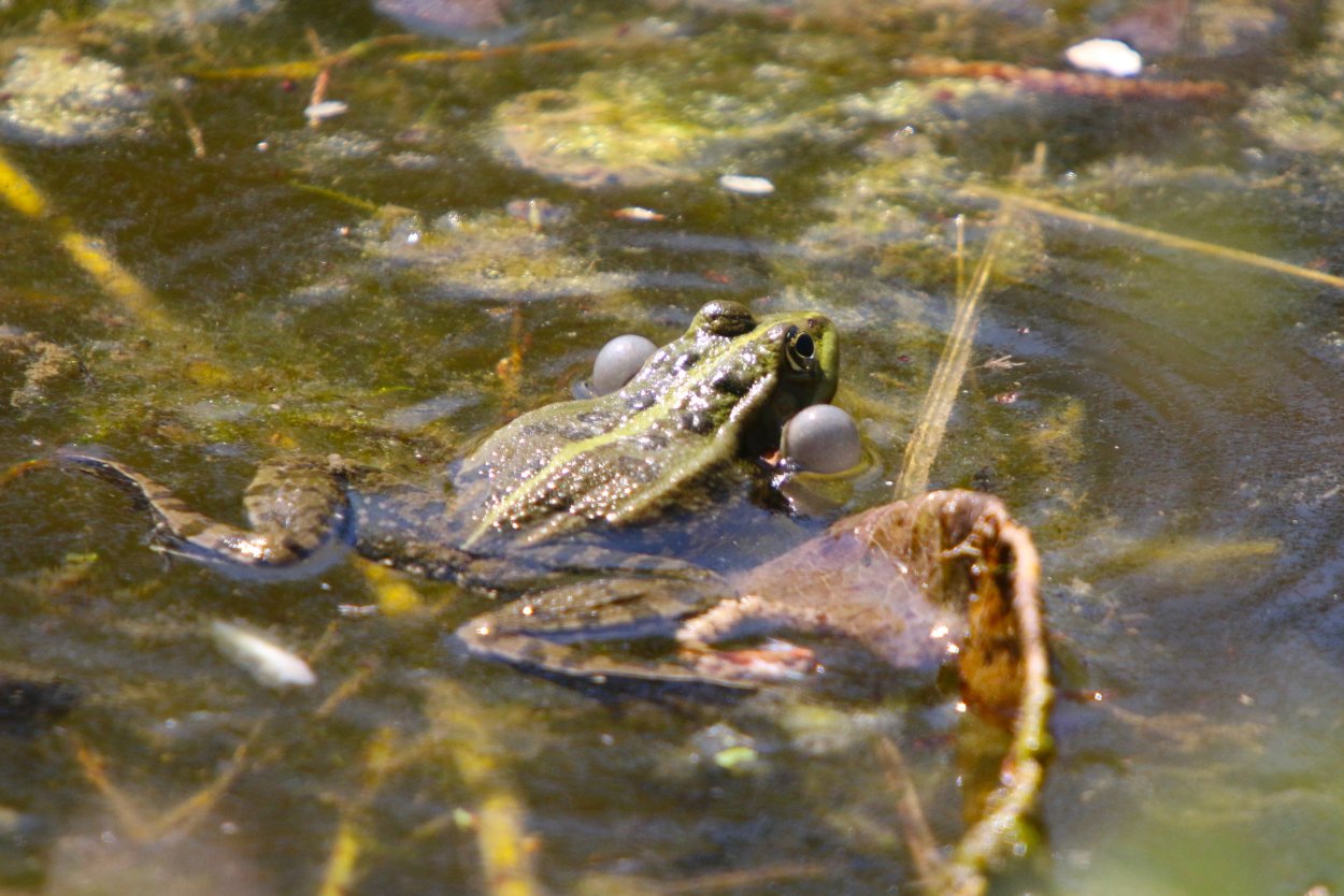 Демонстрационный материал