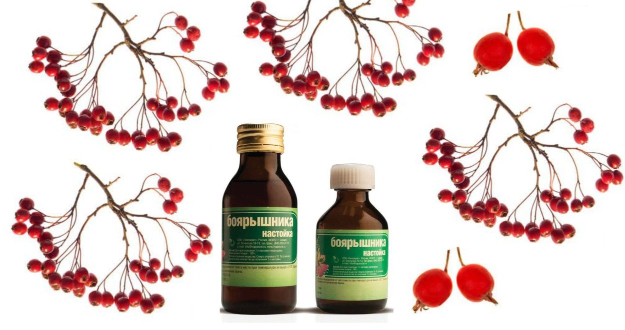 Настой плодов боярышника