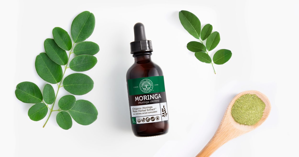 Моринга Акация