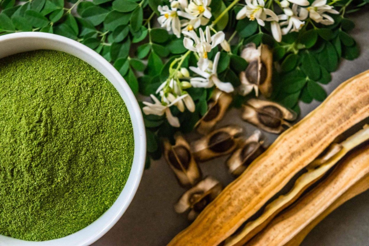 Моринга масличная Moringa Oleifera