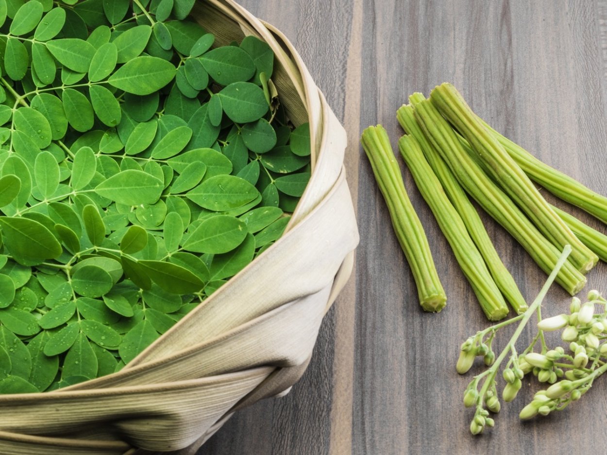 Экстракт моринги