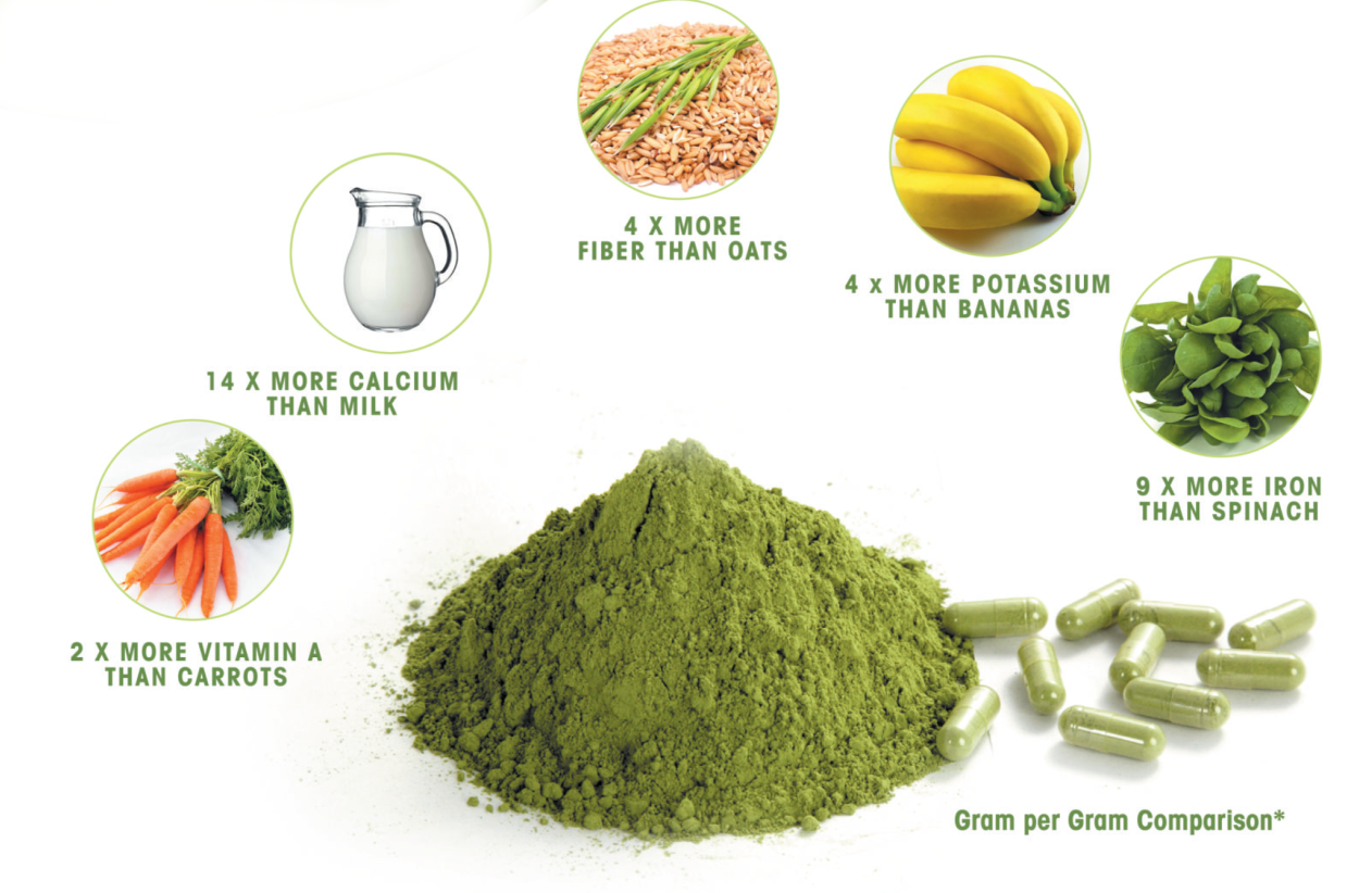 Moringa Powder