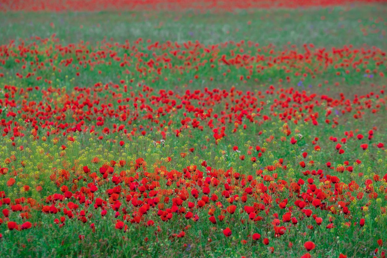 Зааминский заповедник