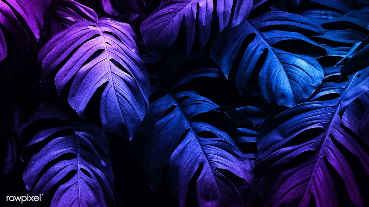 Неон растения