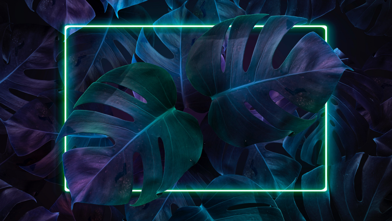 Синие листья