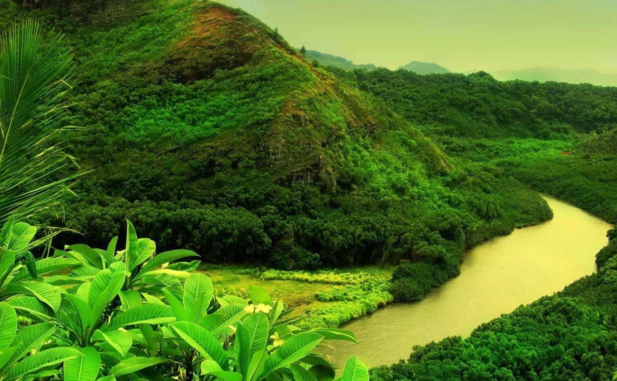 Чунцин тропические джунгли река