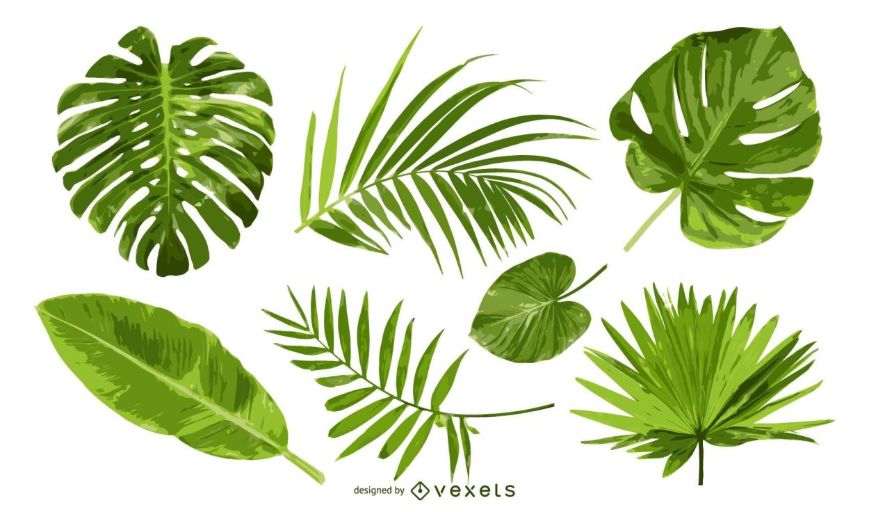 Куст с резными листьями