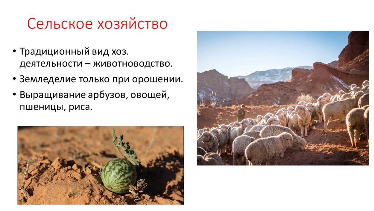 В каких странах пустыни и полупустыни. Пустыни и полупустыни россии хозяйственная деятельность.