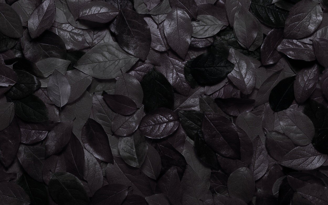 Листья на темном фоне