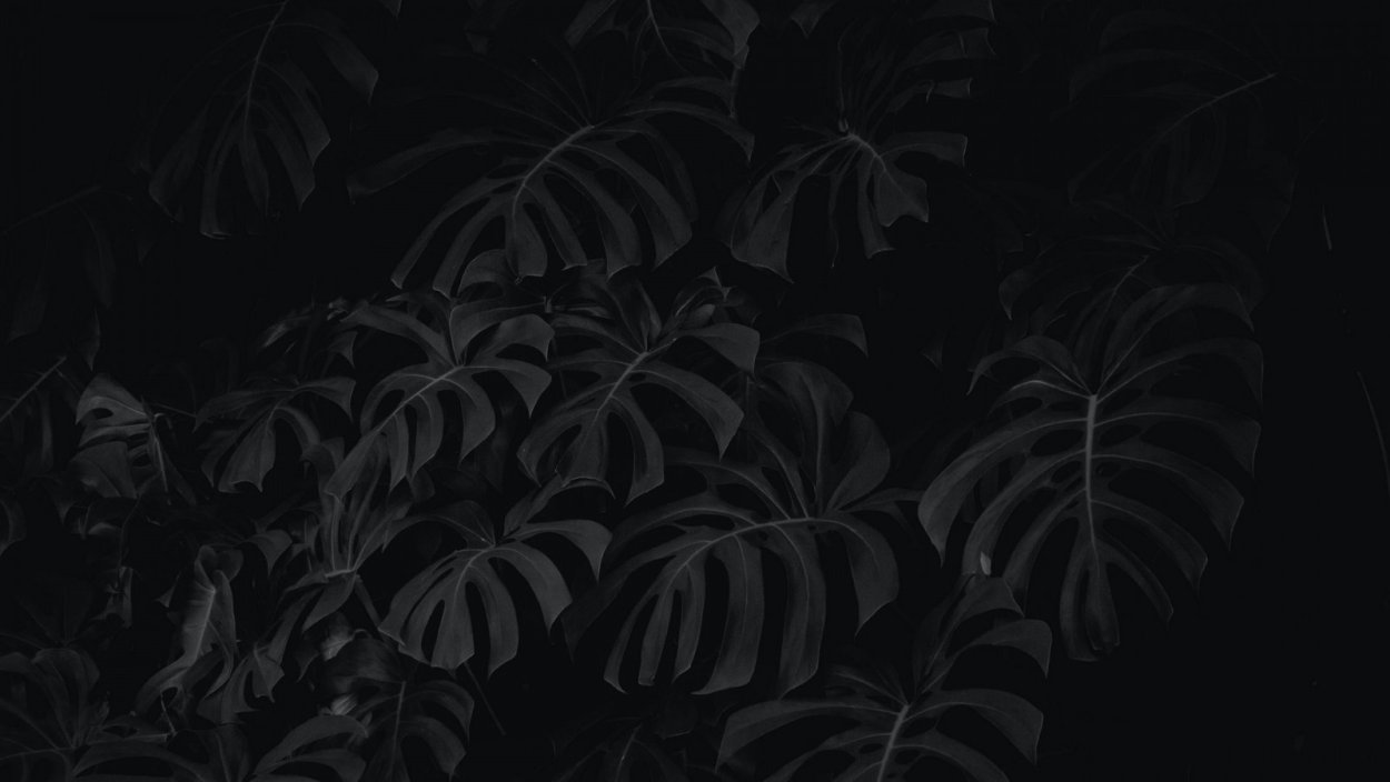 Папоротник темный