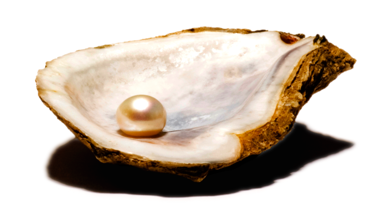 Жемчужина внутри раковины с моллюском