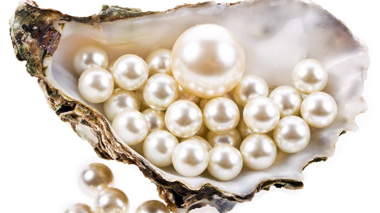 Бабочка Жемчужница