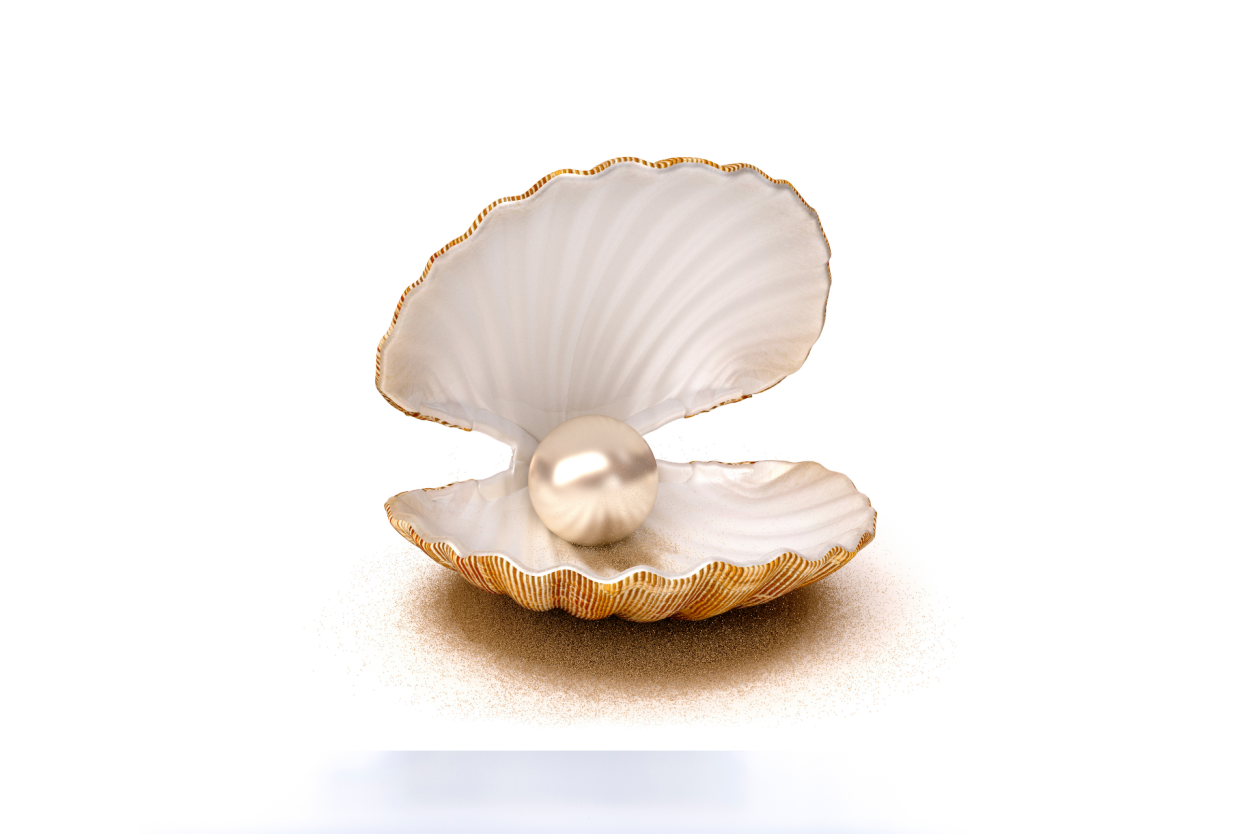 Раскрытая Ракушка