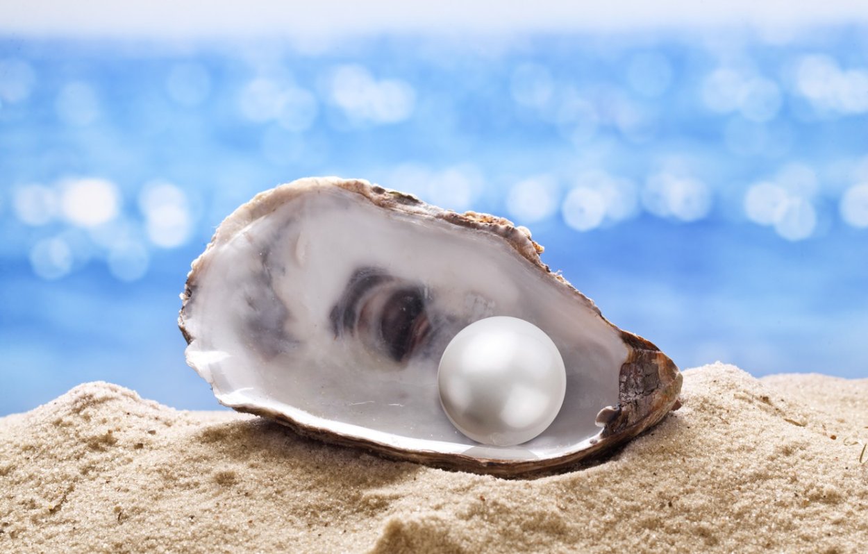 Жемчужина в раковине