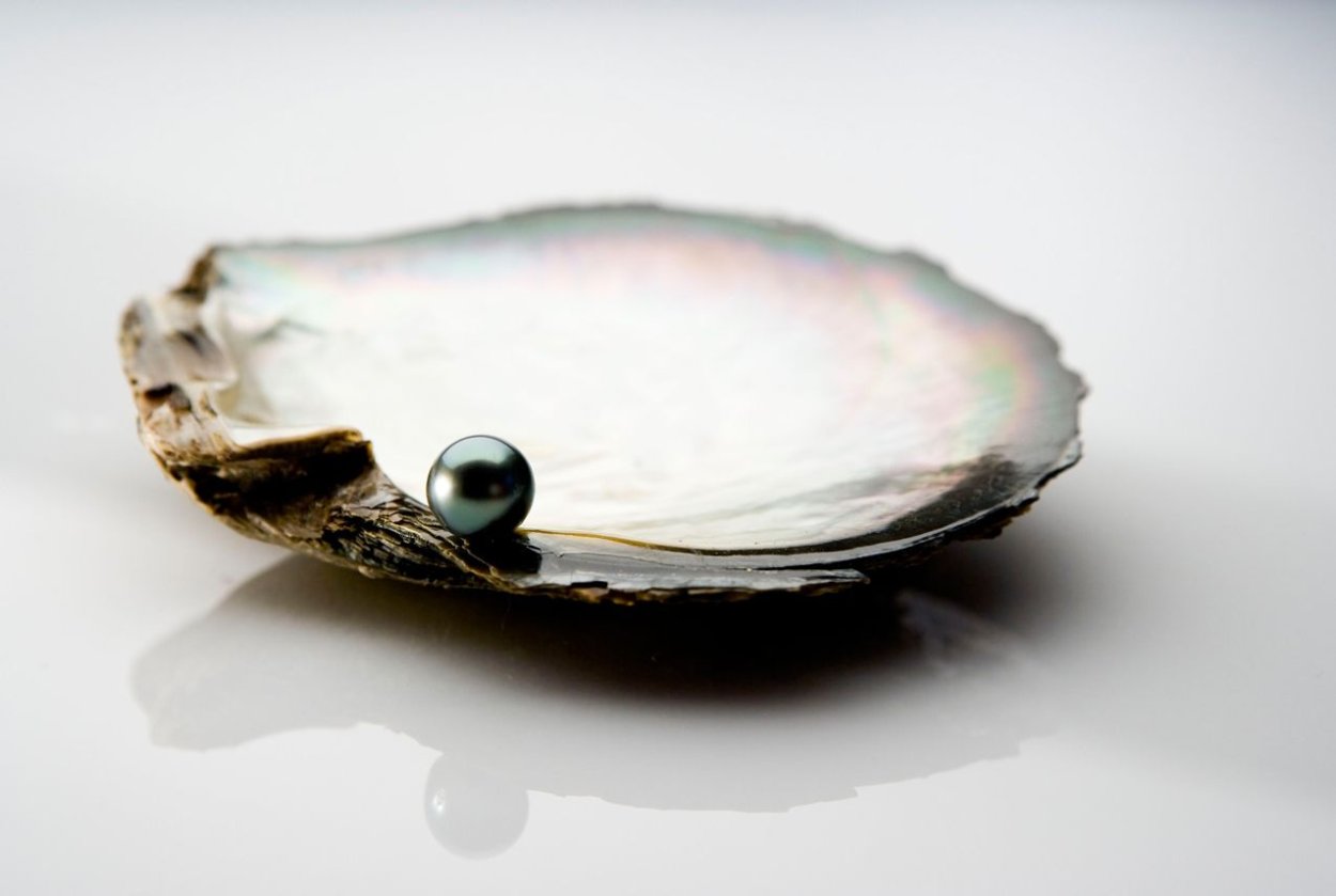 Жемчуг Бурмицкий раковина