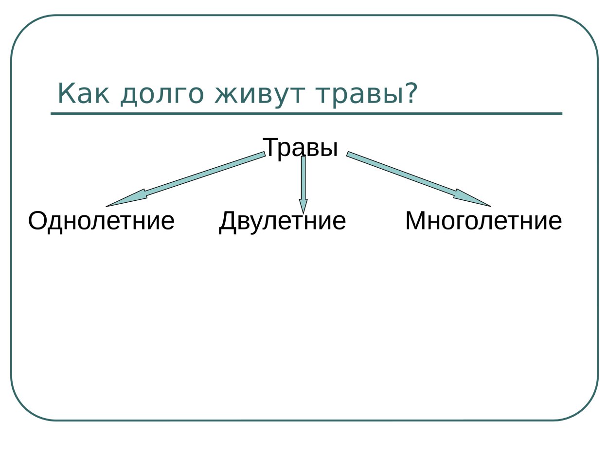 Однолетники двулетники