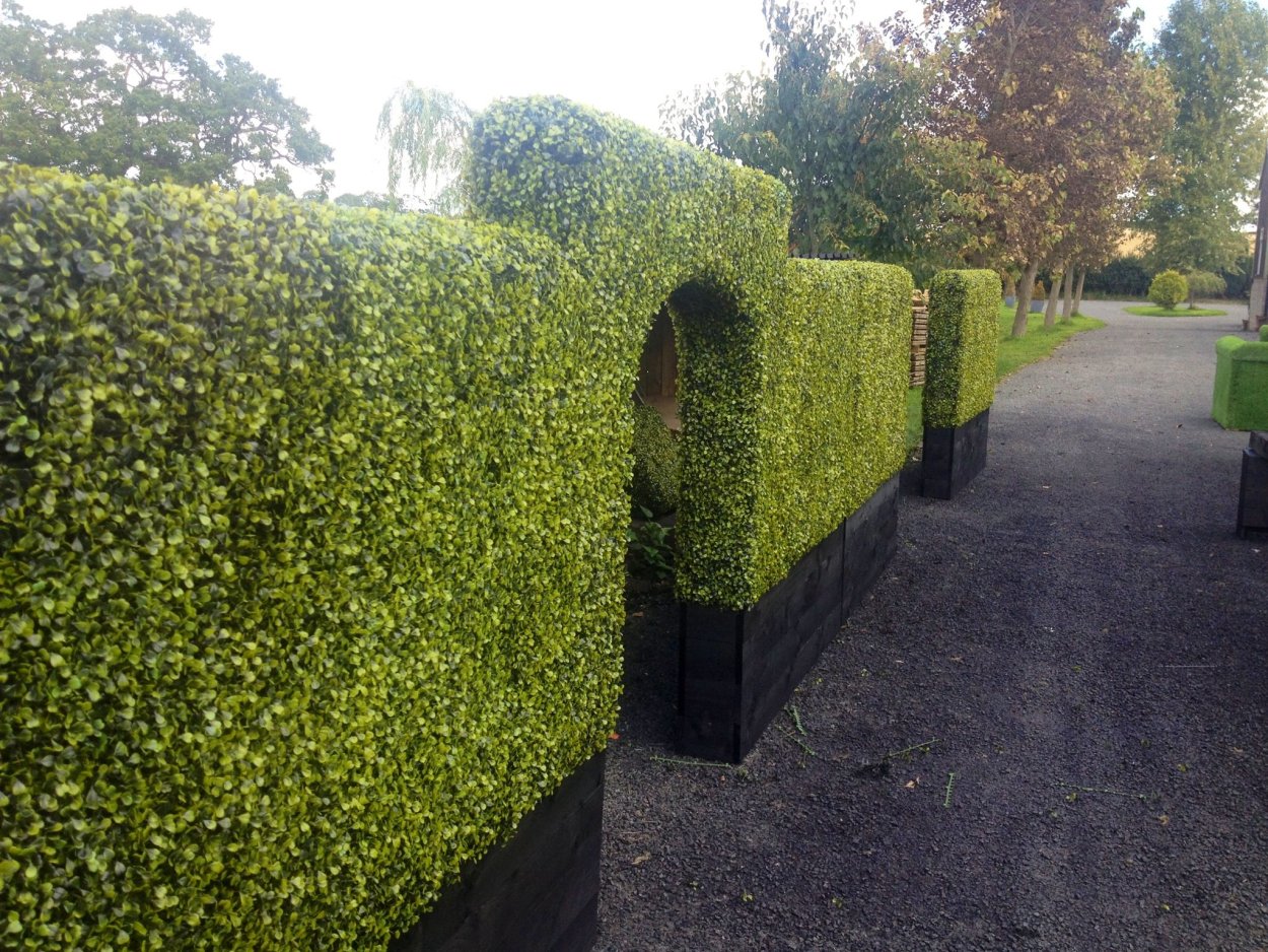 Длинные кусты