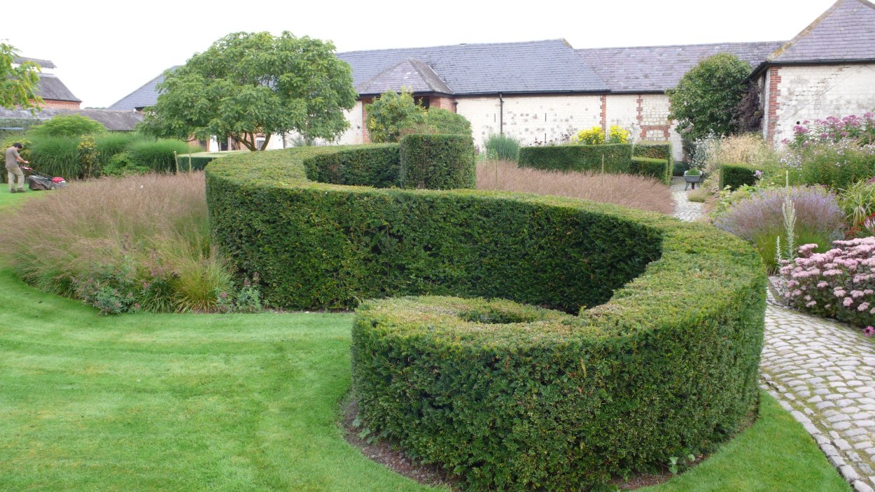 Живая изгородь Версаль