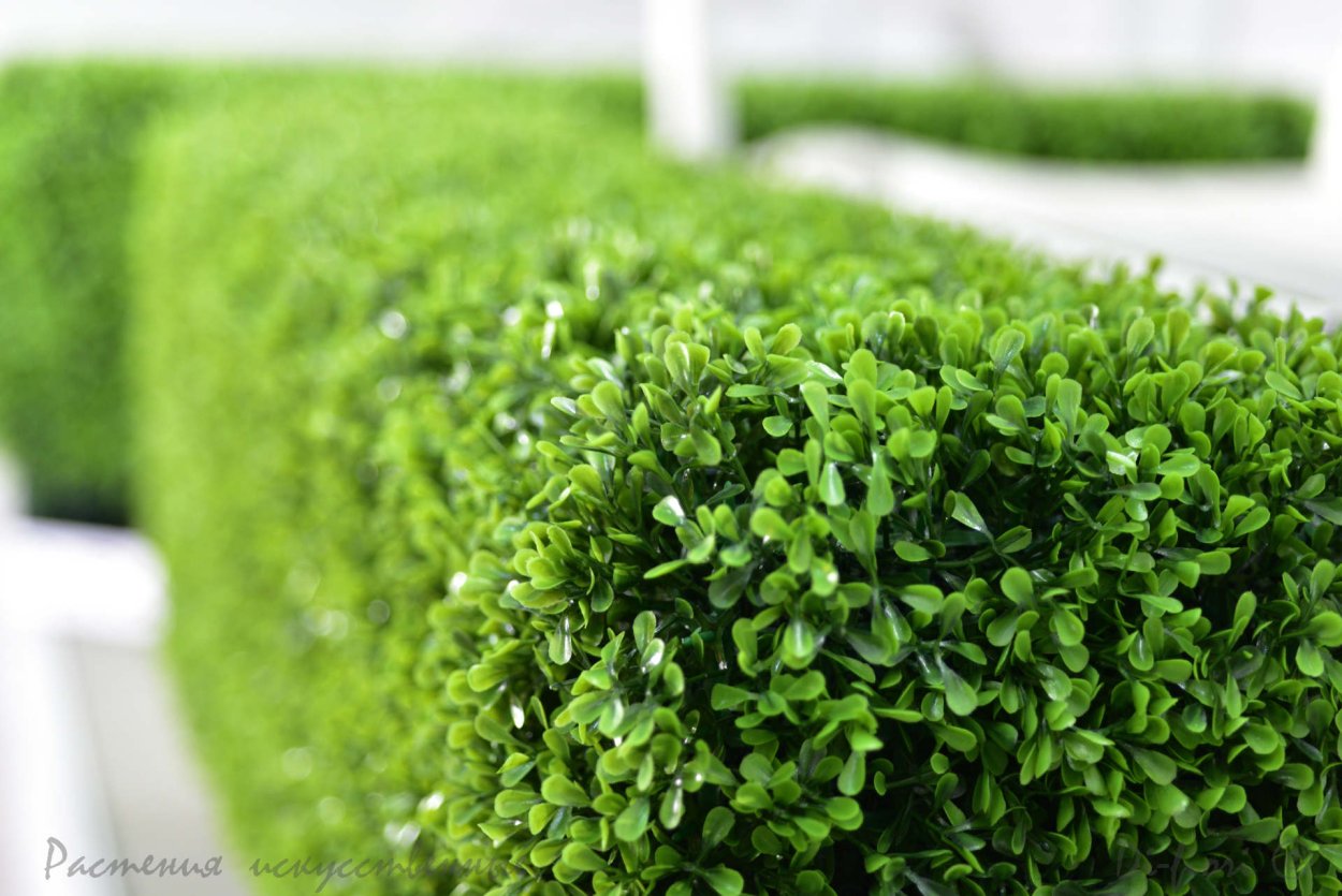 Сад Хидкот Мэнор