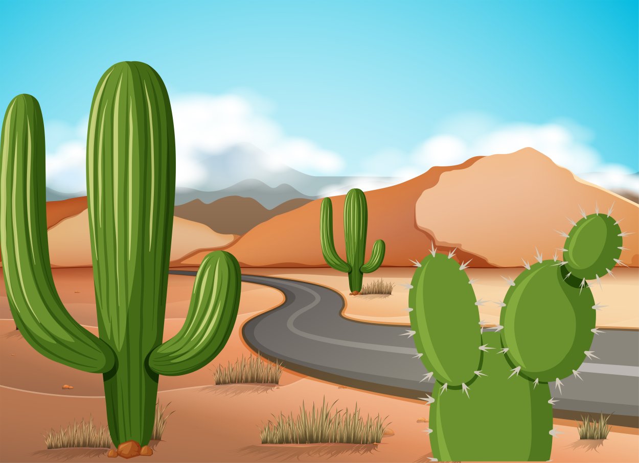 Макет кактуса пустыни