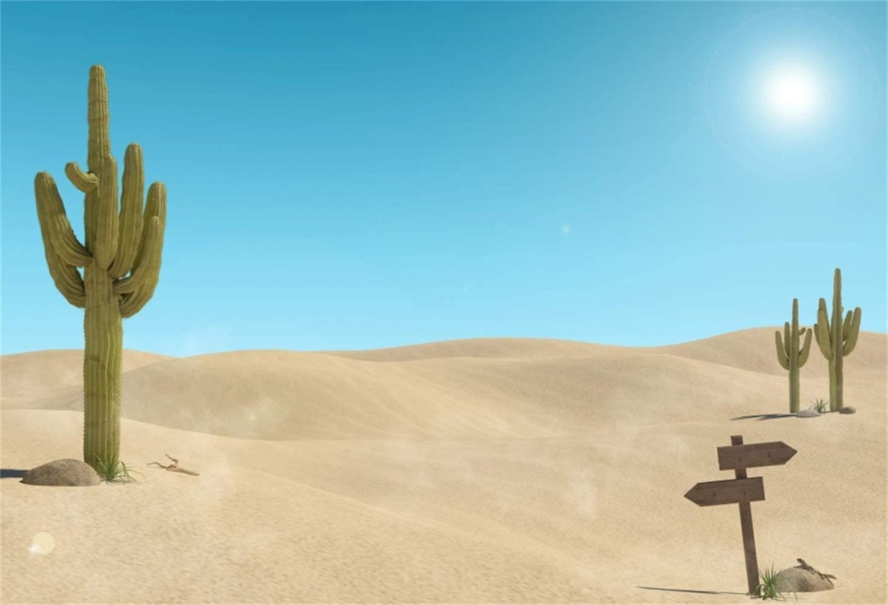 Кактус в песке