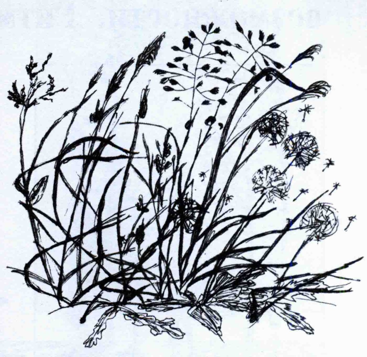 Трава концепт арт