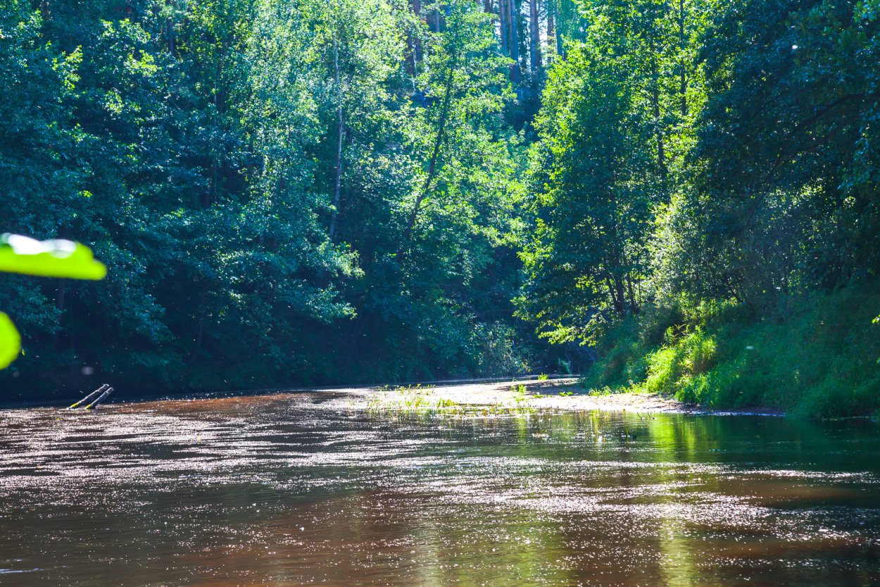 Река Ветлуга Кировская область